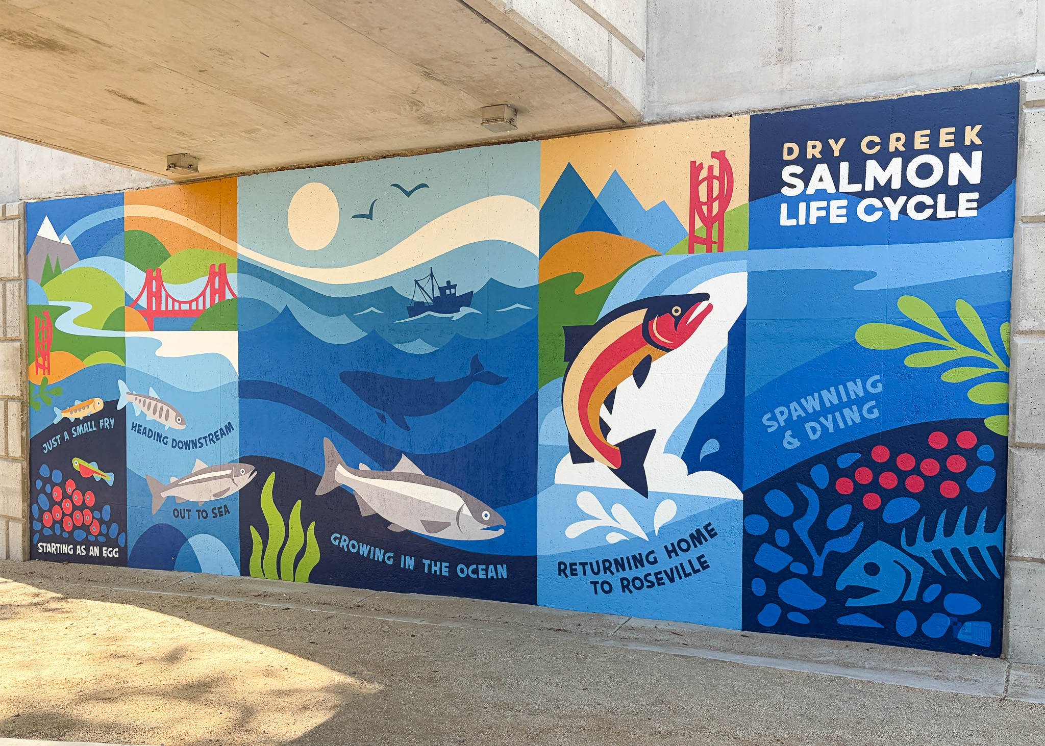 Dry Creek Conservancy Mural